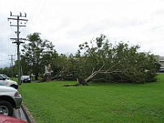 Cairns38 Cyclone Larry